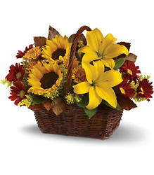 Golden Days Basket<b> from Flowers All Over.com 